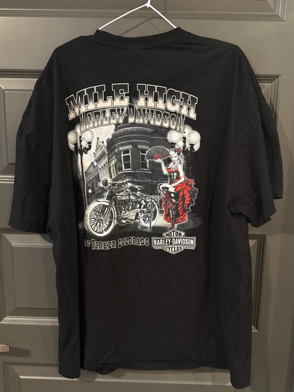 Harley-Davidson Mile High Parker Colorado Spiderweb Skull Graphic Tee XXL
